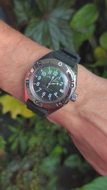 Vostok Amphibia 67068B - video of the actual watch