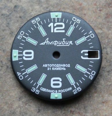 Dial To Vostok Amphibian Watch NEW 640