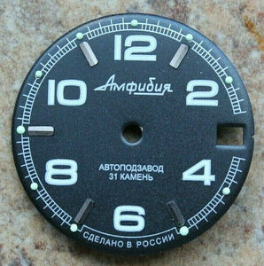 Dial To Vostok Amphibian Watch NEW 433
