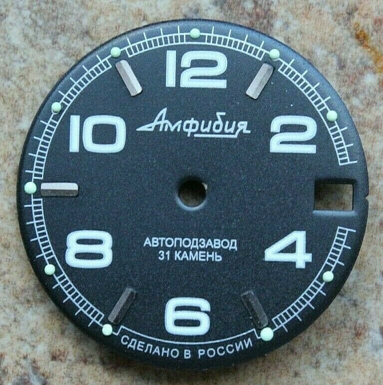 Dial To Vostok Amphibian Watch NEW 433