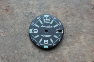 Dial To Vostok Amphibian Watch NEW 640