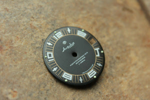 Dial To Vostok Amphibian Watch NEW 394