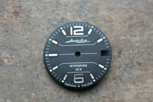 Dial To Vostok Amphibian Watch NEW 695