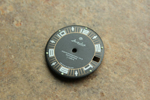 Dial To Vostok Amphibian Watch NEW 394