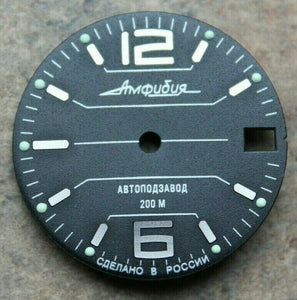 Dial To Vostok Amphibian Watch NEW 695