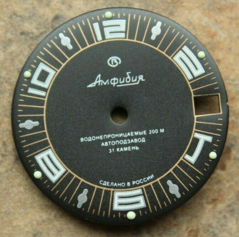 Dial To Vostok Amphibian Watch NEW 394
