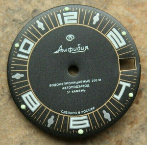 Dial To Vostok Amphibian Watch NEW 394